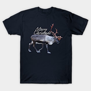 Santa Claus Reindeer T-Shirt